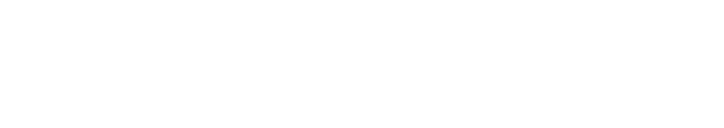 Pixzora Labs Logo